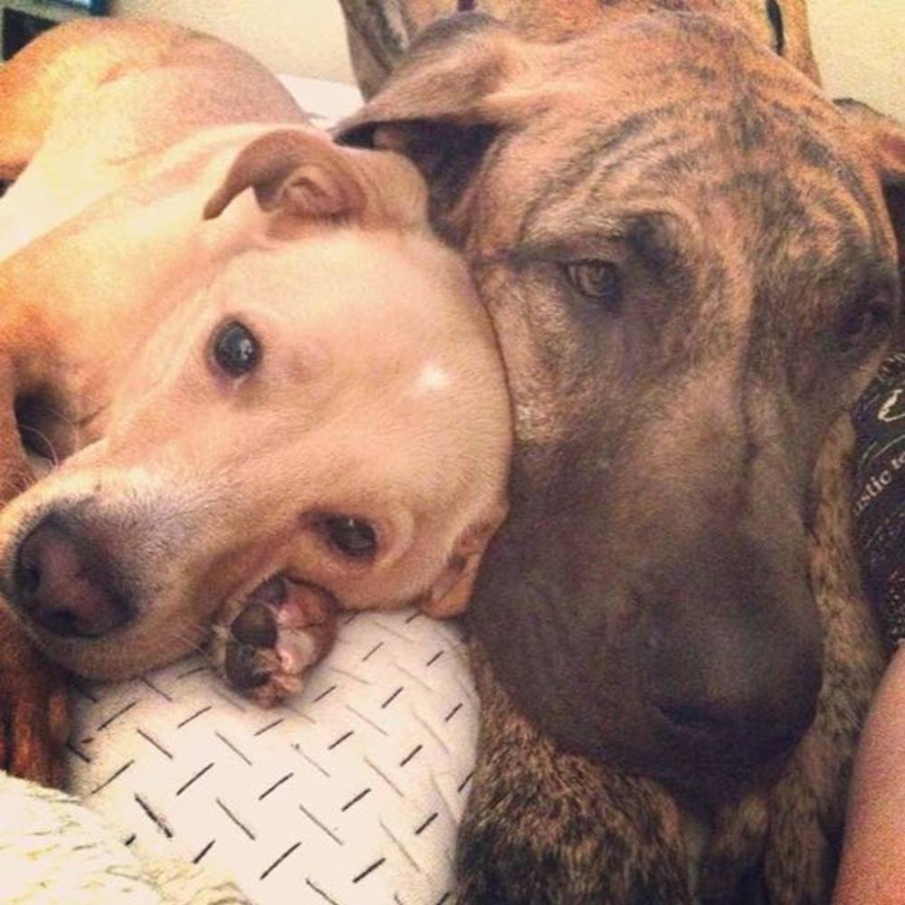 Meet your Posher, Brittany